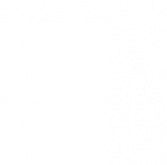 mycplaceholder mycplaceholder